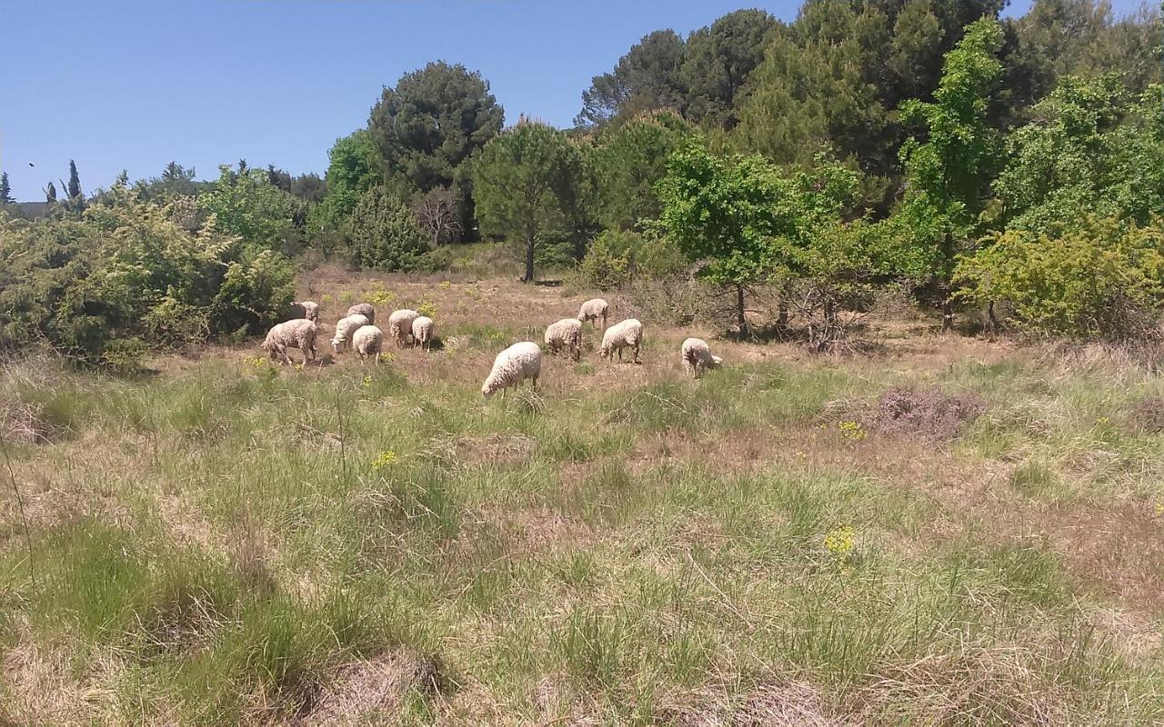 Une Chambre En Luberon Puyvert 외부 사진